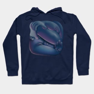 Squished buddy 3 Hoodie